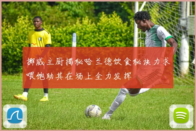 挪威主厨揭秘哈兰德饮食秘诀力求喂饱助其在场上全力发挥